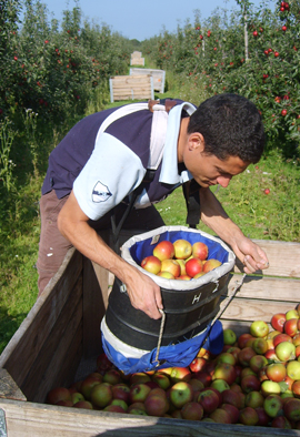 job en Angleterre