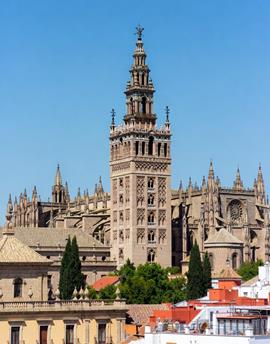 Votre stage à Seville